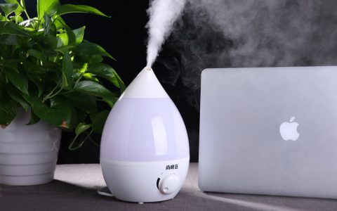 空气加湿器哪个品牌的好一点(空气加湿器品牌排行榜)