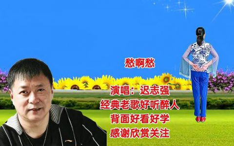 《愁啊愁歌词》(表达孤独、忧伤的经典歌曲)