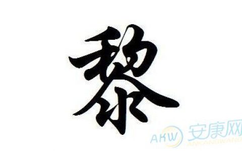 黎姓的来源和历史(深入探究黎姓的渊源以及发展历史)