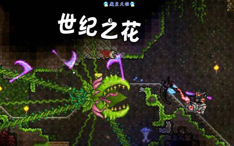世纪之花(纯真烂漫的爱情故事，感动全球观众)