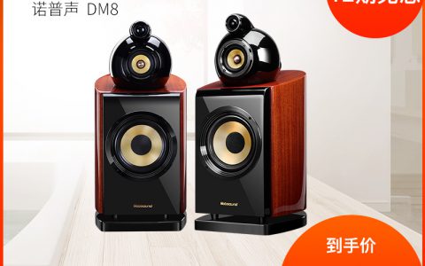 中国音响排行榜前十名(中国音响排行榜)