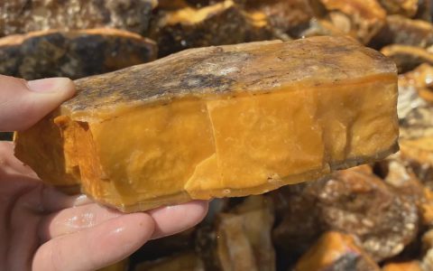 缅黄(深入了解缅黄的种类、特点和用途)