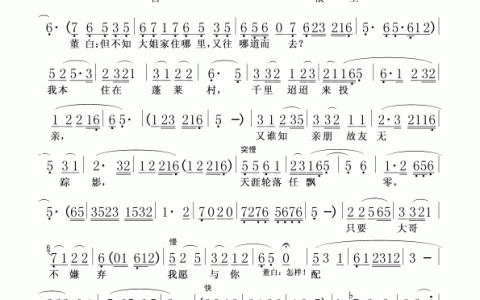 树上的鸟儿成双对黄梅戏歌词(让你了解黄梅戏古老文化传承之美)