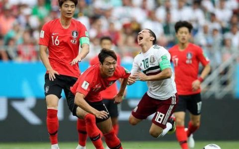 韩国日本出线：世界杯中的亚洲巨人(亚洲国家队出线：亚洲足球的崛起)
