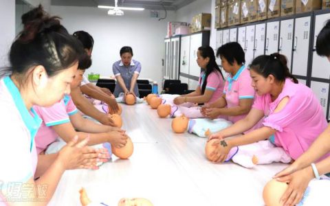 育婴师培训课程视频(育婴师培训课程视频的重要性)