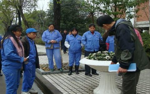 保洁员证在哪里考(保洁员证考试时间)