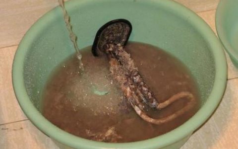 电热水器怎么清洗水垢的正确方法(电热水器水垢清洗技巧)