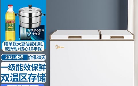 家用小冰柜哪个牌子好(家用小冰柜推荐)