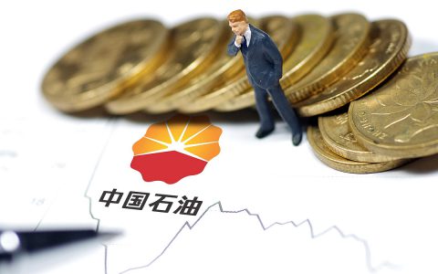 中石油股票行情分析及未来发展趋势(中石油股票投资风险及收益分析)