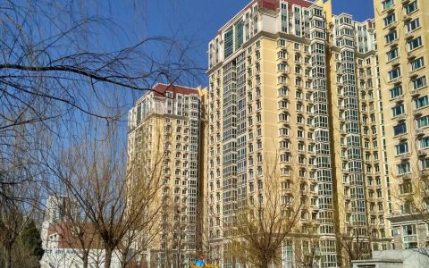 北京朝阳区居家办公最新消息(北京朝阳区居家办公政策)