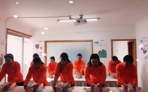 正规育儿嫂公司哪家好(育儿嫂公司选择指南)