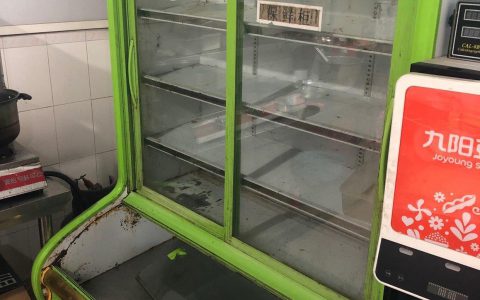 冰柜价格1000元左右选购指南(冰柜价格1000元左右的性价比推荐)