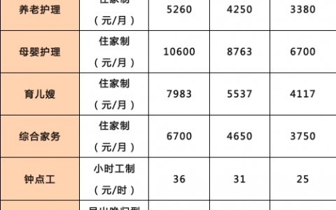 上海家政排名第一(家政公司)