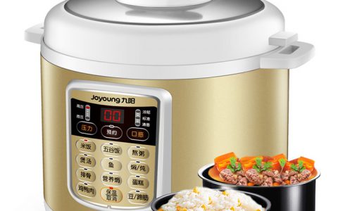 电压力锅排名前十名(电压力锅品牌排名)