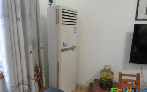 立式空调多少钱一台，选购指南(立式空调价格、品牌、性能评测)