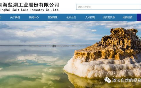 盐湖股份股票投资指南(盐湖股份行业分析)