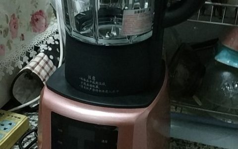 破壁机哪个牌子质量最好(破壁机品牌排行榜)