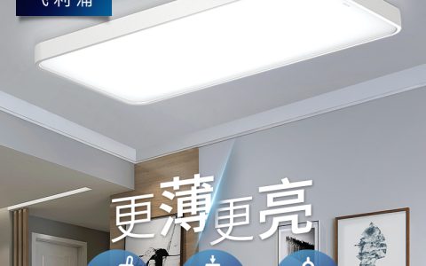 飞利浦灯具(智能家居照明系统)