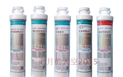 净水器5个滤芯多少钱(净水器滤芯价格)